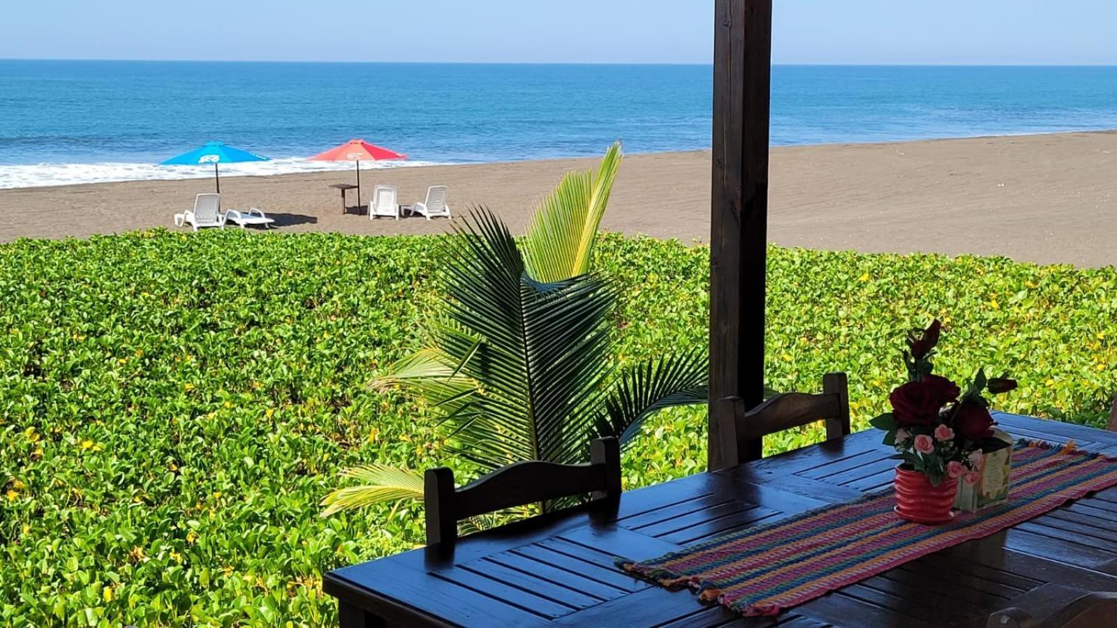 Hotel Hawaian Paradise 夏威夷 外观 照片
