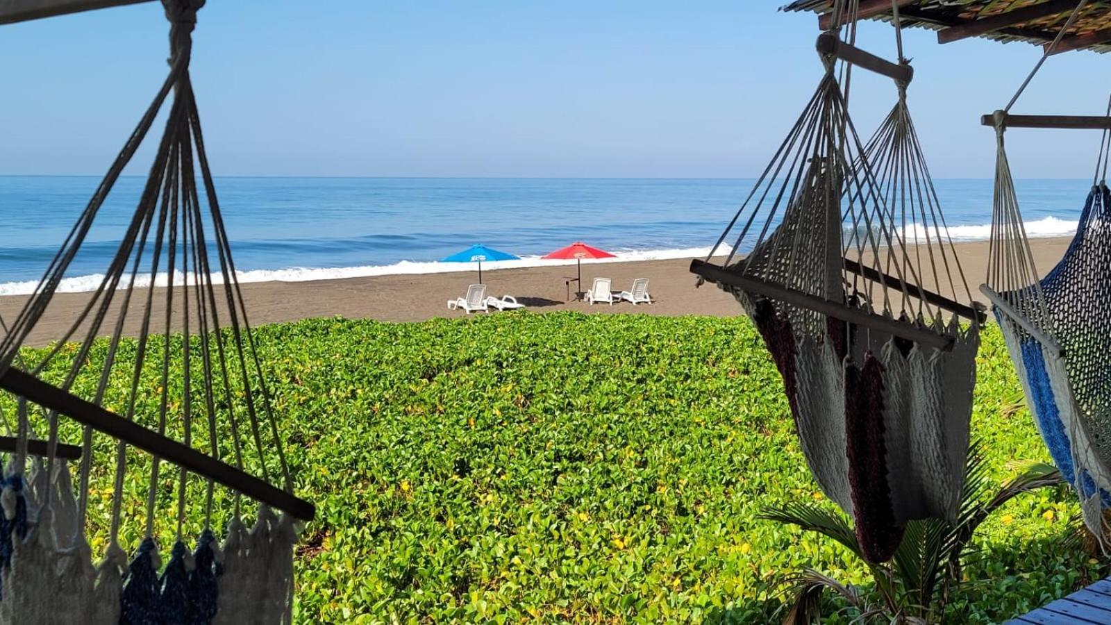 Hotel Hawaian Paradise 夏威夷 外观 照片